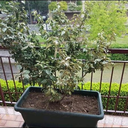 מלון Bergamo & Dintorni מראה חיצוני תמונה