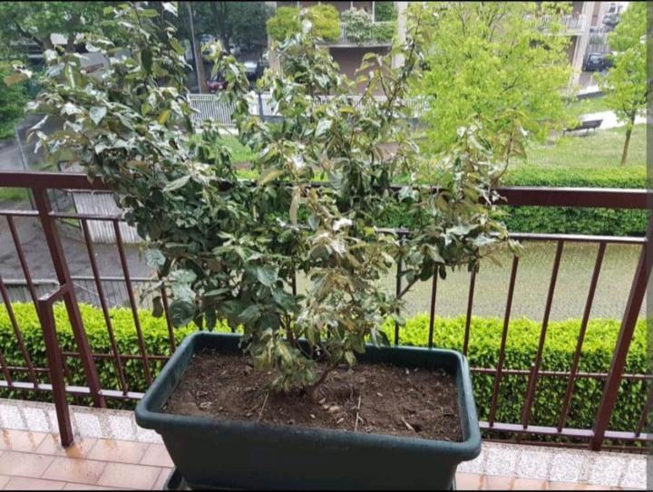 מלון Bergamo & Dintorni מראה חיצוני תמונה